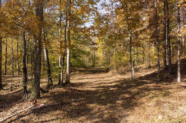 0 Wildcat Rd, Dickson, TN 37055