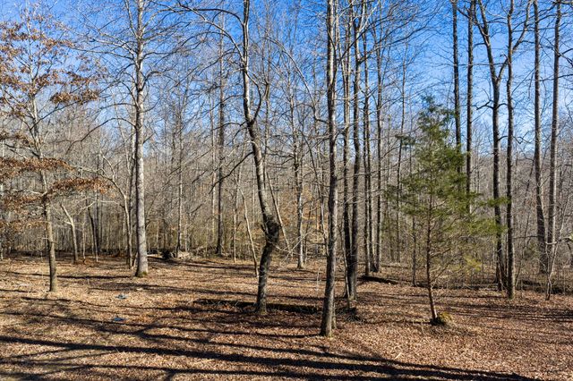 0 Wildcat Rd, Dickson, TN 37055