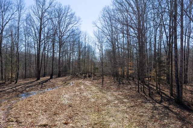 0 Wildcat Rd, Dickson, TN 37055
