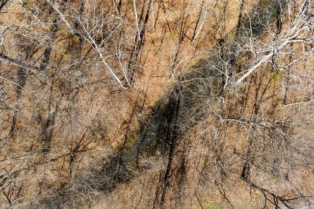 0 Wildcat Rd, Dickson, TN 37055