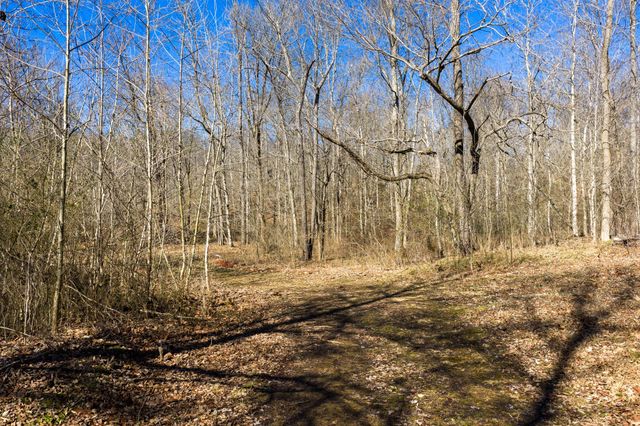 0 Wildcat Rd, Dickson, TN 37055