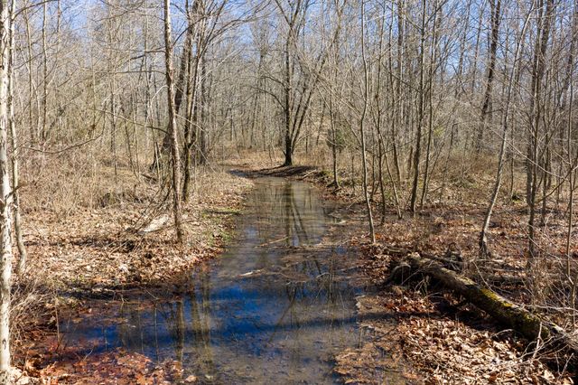 0 Wildcat Rd, Dickson, TN 37055