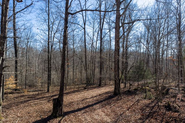 0 Wildcat Rd, Dickson, TN 37055