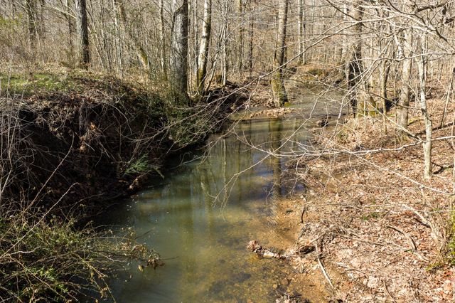 0 Wildcat Rd, Dickson, TN 37055