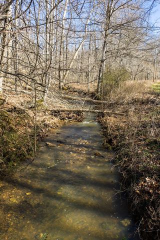 0 Wildcat Rd, Dickson, TN 37055