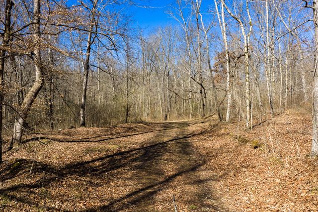 0 Wildcat Rd, Dickson, TN 37055