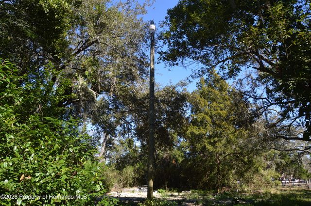 18117 Branch Road, Hudson, FL 34667