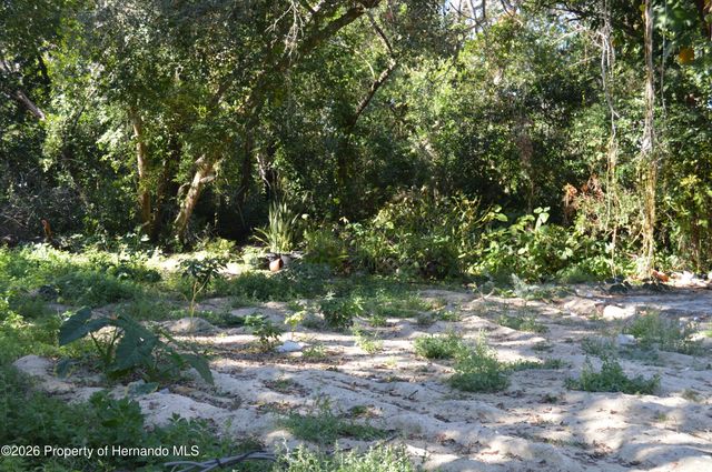 18117 Branch Road, Hudson, FL 34667