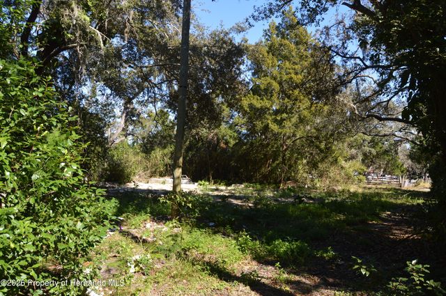 18117 Branch Road, Hudson, FL 34667