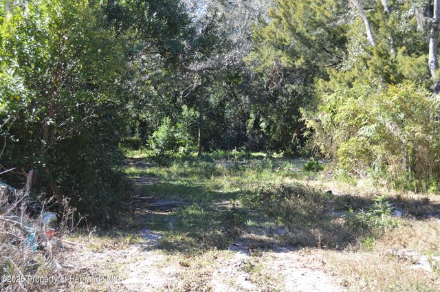 18117 Branch Road, Hudson, FL 34667