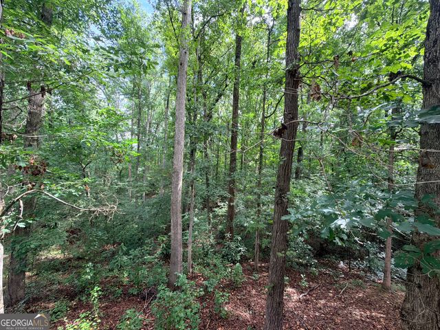 244 Skyline Way, Lavonia, GA 30553