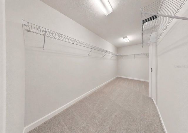 9924 SMARTY JONES DRIVE, Ruskin, FL 33573