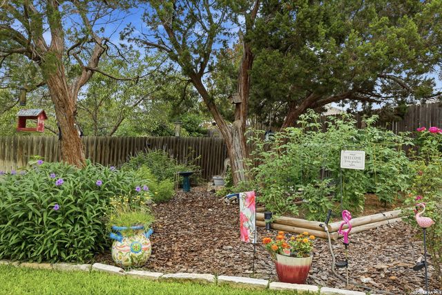 11038 Wilson Oaks, San Antonio, TX 78249