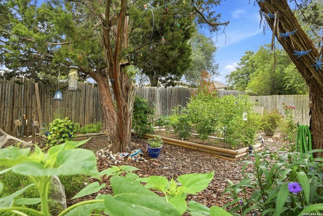 11038 Wilson Oaks, San Antonio, TX 78249