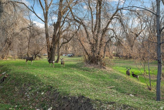 978 S 1375 E, Springville, UT 84663