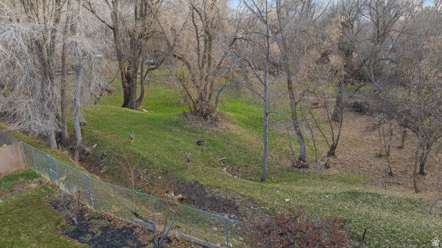 978 S 1375 E, Springville, UT 84663