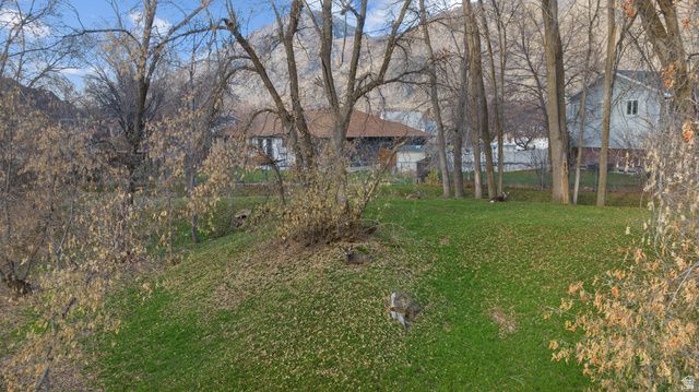 978 S 1375 E, Springville, UT 84663