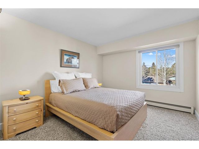 29704 Paint Brush Dr, Evergreen, CO 80439