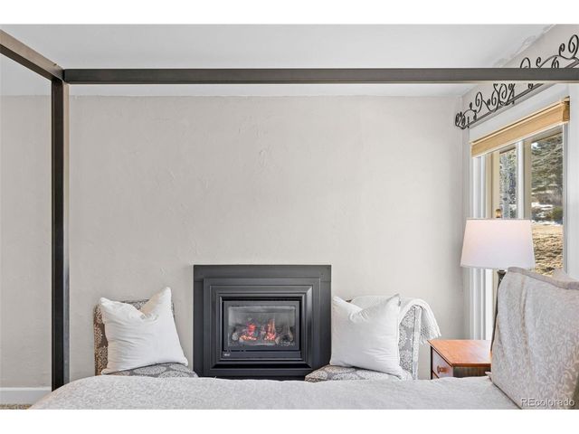 29704 Paint Brush Dr, Evergreen, CO 80439