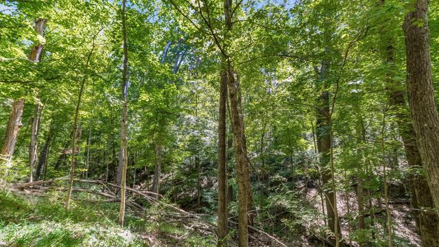 0 Paradise Road SE, Sugar Grove, OH 43155