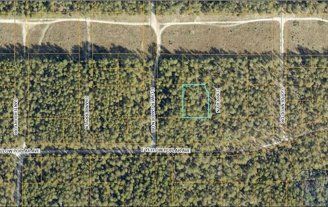 Lot 15 Flipper Lane, Defuniak Springs, FL 32433