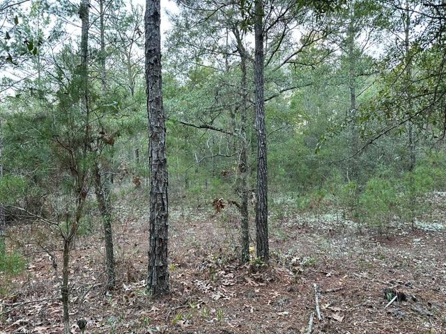 Lot 15 Flipper Lane, Defuniak Springs, FL 32433