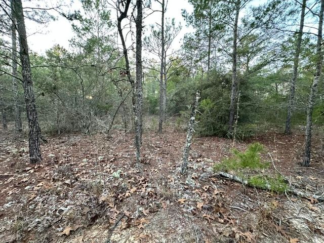 Lot 15 Flipper Lane, Defuniak Springs, FL 32433