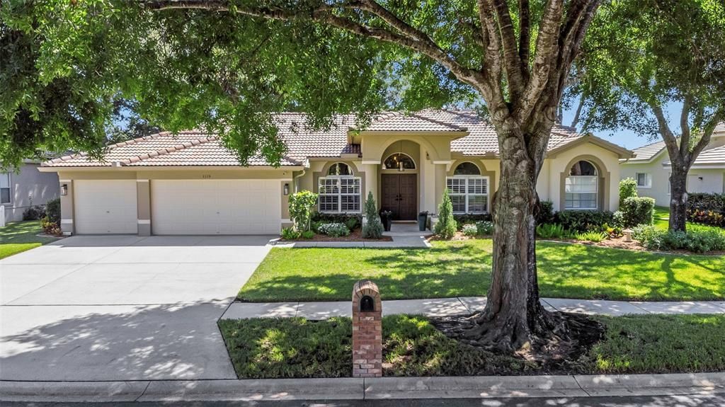 1115 KINGS WAY LANE, Tarpon Springs, FL 34688