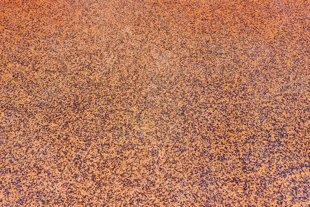 7680 Cavern Lane, Parkland, FL 33067