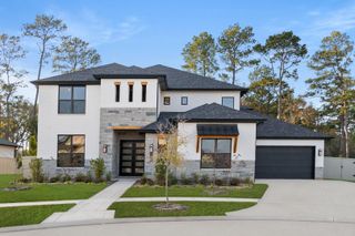 164 Shoveler Duck Way, Magnolia, TX 77354