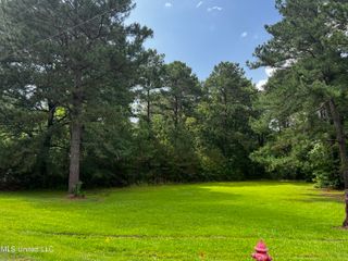 164 Walter Payton Lane, Ridgeland, MS 39157