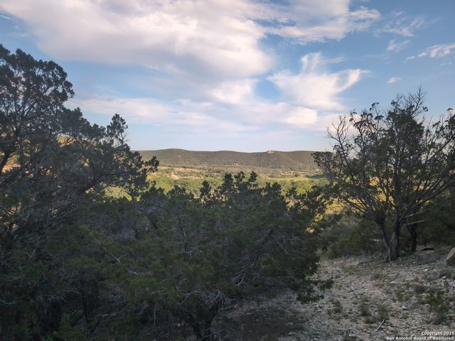 443 Moseley, Medina, TX 78055