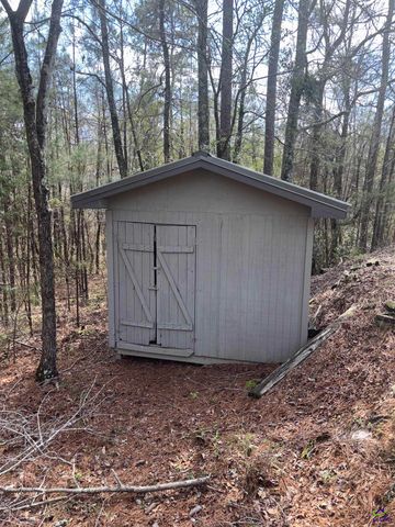 121 Girl Scout, Lizella, GA 31052