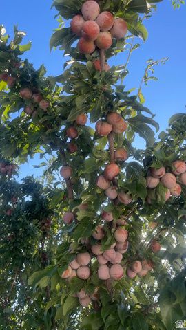 3056 S 1450 W, Perry, UT 84302