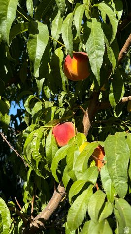 3056 S 1450 W, Perry, UT 84302