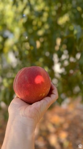 3056 S 1450 W, Perry, UT 84302