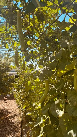 3056 S 1450 W, Perry, UT 84302