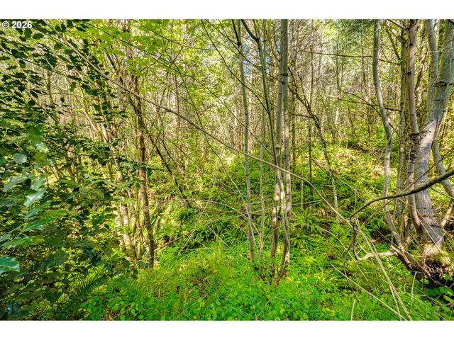 229 PROSPECT Rd, Woodland, WA 98674