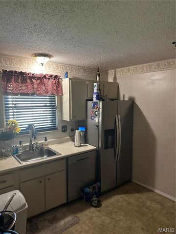 11630 Helenoak Drive, Florissant, MO 63033