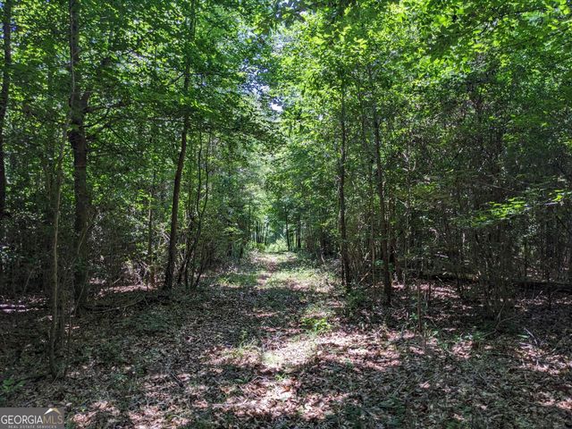 1949 Highway 29 N, Danielsville, GA 30633