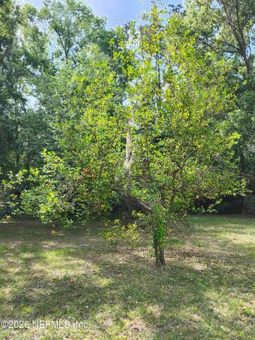 1449 DELMAR Street, Jacksonville, FL 32205