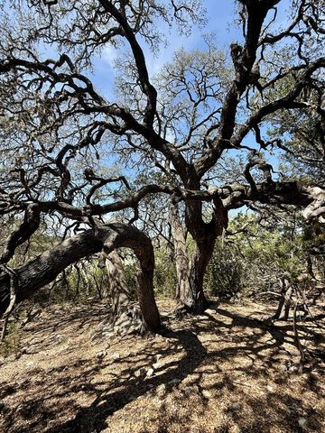 3320 Privilege Creek Rd, Pipe Creek, TX 78063
