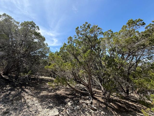 3320 Privilege Creek Rd, Pipe Creek, TX 78063