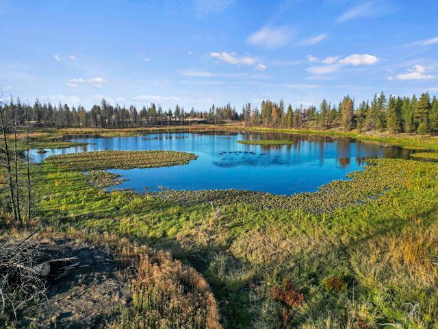 XXX W Page Pond Ln, Medical Lake, WA 99022