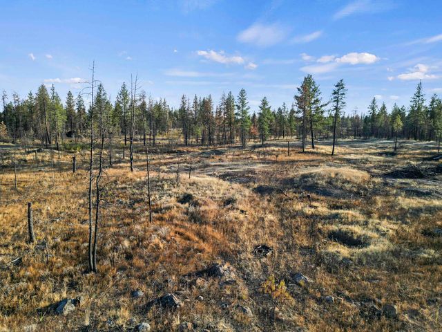 XXX W Page Pond Ln, Medical Lake, WA 99022