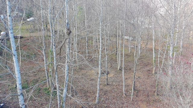 LOT 2 Eagle Heights Road, Hiawassee, GA 30546