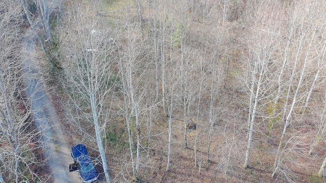 LOT 2 Eagle Heights Road, Hiawassee, GA 30546