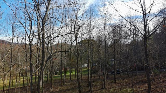 LOT 2 Eagle Heights Road, Hiawassee, GA 30546