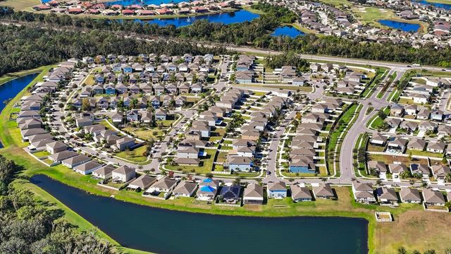 17201 BEACH BUTTERCUP PLACE, Wimauma, FL 33598