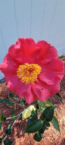 416 W HOWRY, Deland, FL 32720